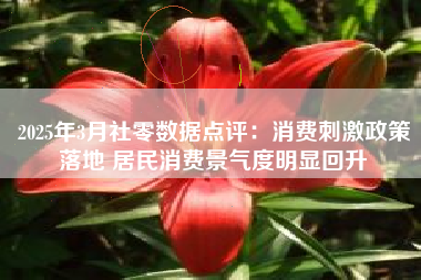 2025年3月社零数据点评：消费刺激政策落地 居民消费景气度明显回升