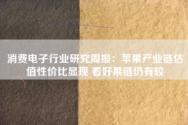 消费电子行业研究周报：苹果产业链估值性价比显现 看好果链仍有较