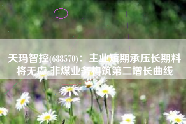 天玛智控(688570)：主业短期承压长期料将无虞 非煤业务构筑第二增长曲线