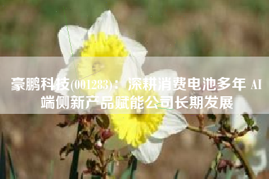 豪鹏科技(001283)：深耕消费电池多年 AI端侧新产品赋能公司长期发展