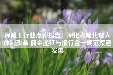 保险Ⅱ行业点评报告：深化寿险代理人体制改革 佣金递延与报行合一规范渠道发展