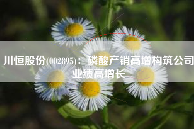 川恒股份(002895)：磷酸产销高增构筑公司业绩高增长