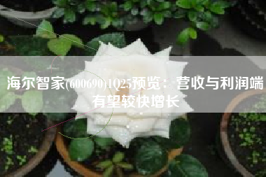 海尔智家(600690)1Q25预览：营收与利润端有望较快增长