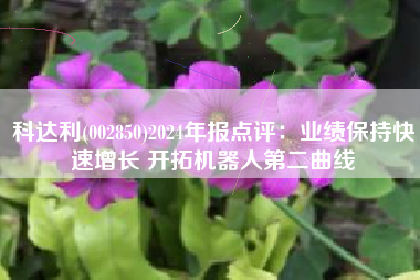 科达利(002850)2024年报点评：业绩保持快速增长 开拓机器人第二曲线