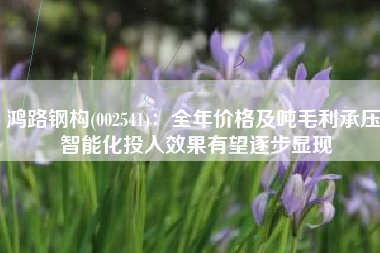 鸿路钢构(002541)：全年价格及吨毛利承压 智能化投入效果有望逐步显现