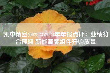 凯中精密(002823)2024年年报点评：业绩符合预期 新能源零组件开始放量