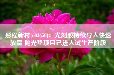彤程新材(603650)：光刻胶持续导入快速放量 抛光垫项目已进入试生产阶段