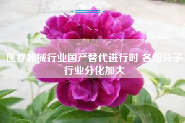 医疗器械行业国产替代进行时 各细分子行业分化加大