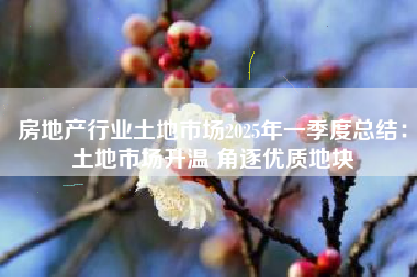 房地产行业土地市场2025年一季度总结：土地市场升温 角逐优质地块