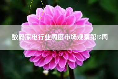 数码家电行业周度市场观察第15周