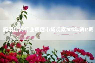 跨境出海行业周度市场观察2025年第15周