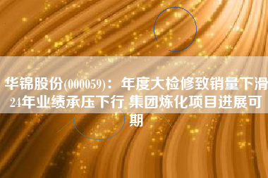 华锦股份(000059)：年度大检修致销量下滑24年业绩承压下行 集团炼化项目进展可期