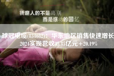 球冠电缆(834682)：华东地区销售快速增长 2024实现营收35.85亿元+20.19%