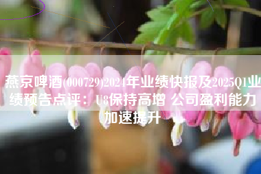 燕京啤酒(000729)2024年业绩快报及2025Q1业绩预告点评：U8保持高增 公司盈利能力加速提升