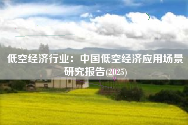 低空经济行业：中国低空经济应用场景研究报告(2025)