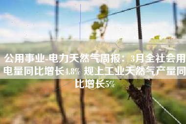 公用事业-电力天然气周报：3月全社会用电量同比增长4.8% 规上工业天然气产量同比增长5%
