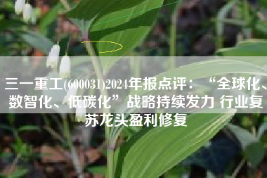 三一重工(600031)2024年报点评：“全球化、数智化、低碳化”战略持续发力 行业复苏龙头盈利修复