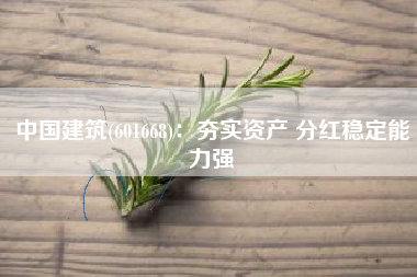 中国建筑(601668)：夯实资产 分红稳定能力强