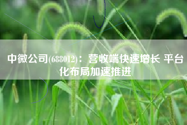 中微公司(688012)：营收端快速增长 平台化布局加速推进