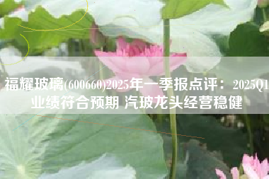 福耀玻璃(600660)2025年一季报点评：2025Q1业绩符合预期 汽玻龙头经营稳健