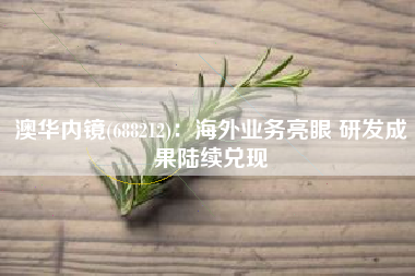 澳华内镜(688212)：海外业务亮眼 研发成果陆续兑现