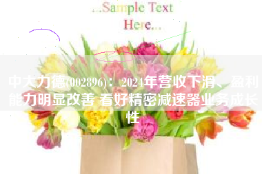 中大力德(002896)：2024年营收下滑、盈利能力明显改善 看好精密减速器业务成长性