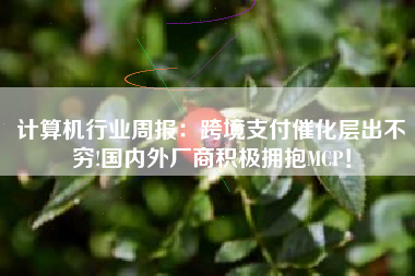 计算机行业周报：跨境支付催化层出不穷!国内外厂商积极拥抱MCP！