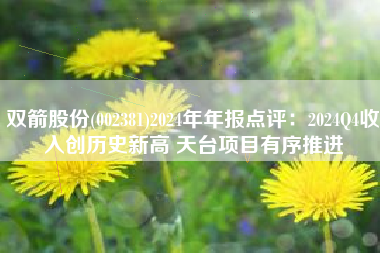双箭股份(002381)2024年年报点评：2024Q4收入创历史新高 天台项目有序推进