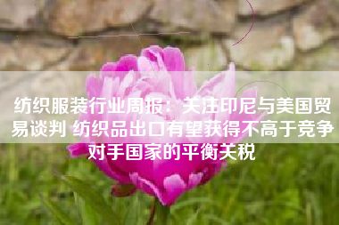 纺织服装行业周报：关注印尼与美国贸易谈判 纺织品出口有望获得不高于竞争对手国家的平衡关税