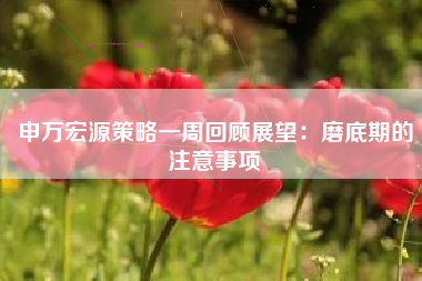 申万宏源策略一周回顾展望：磨底期的注意事项
