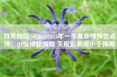 百龙创园(605016)2025年一季度业绩预告点评：Q1业绩超预期 关税影响或小于预期