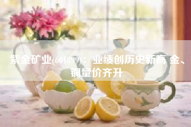 紫金矿业(601899)：业绩创历史新高 金、铜量价齐升