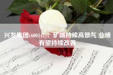 兴发集团(600141)：矿端持续高景气 业绩有望持续改善