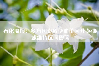 石化周报：多方因素致使油价回升 短期或维持区间震荡