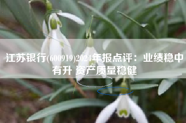 江苏银行(600919)2024年报点评：业绩稳中有升 资产质量稳健
