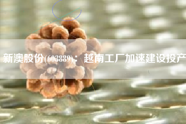 新澳股份(603889)：越南工厂加速建设投产