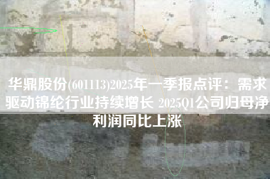 华鼎股份(601113)2025年一季报点评：需求驱动锦纶行业持续增长 2025Q1公司归母净利润同比上涨