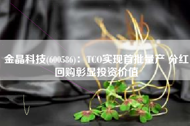 金晶科技(600586)：TCO实现首批量产 分红回购彰显投资价值