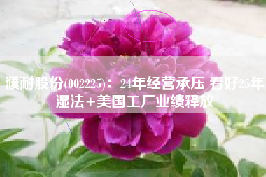 濮耐股份(002225)：24年经营承压 看好25年湿法+美国工厂业绩释放