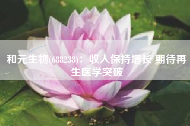 和元生物(688238)：收入保持增长 期待再生医学突破