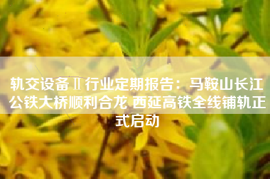 轨交设备Ⅱ行业定期报告：马鞍山长江公铁大桥顺利合龙 西延高铁全线铺轨正式启动