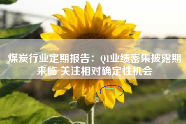 煤炭行业定期报告:Q1业绩密集披露期来临 关注相对确定性机会 煤炭行业定期报告:Q1业绩密集披露期来临 关注相对确定性机会