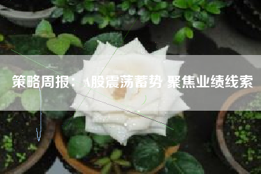 策略周报：A股震荡蓄势 聚焦业绩线索