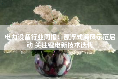 电力设备行业周报：漂浮式海风示范启动 关注锂电新技术迭代