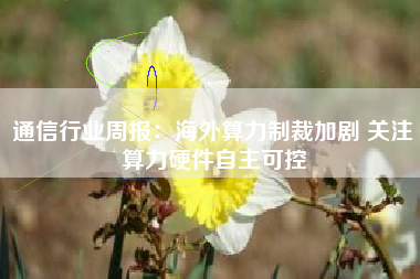 通信行业周报：海外算力制裁加剧 关注算力硬件自主可控