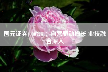 国元证券(000728)：自营驱动增长 业技融合深入