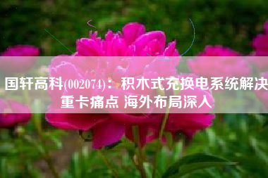 国轩高科(002074)：积木式充换电系统解决重卡痛点 海外布局深入