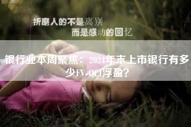 银行业本周聚焦：2024年末上市银行有多少FV-OCI浮盈？