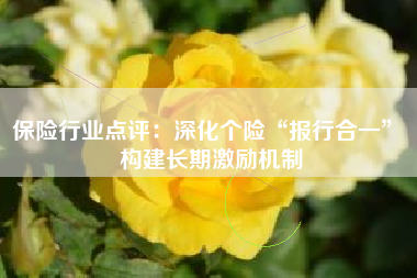 保险行业点评：深化个险“报行合一” 构建长期激励机制