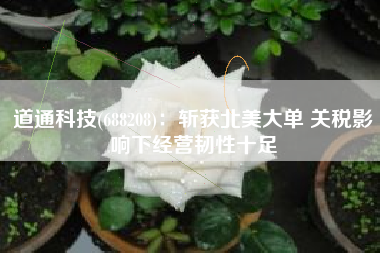 道通科技(688208)：斩获北美大单 关税影响下经营韧性十足